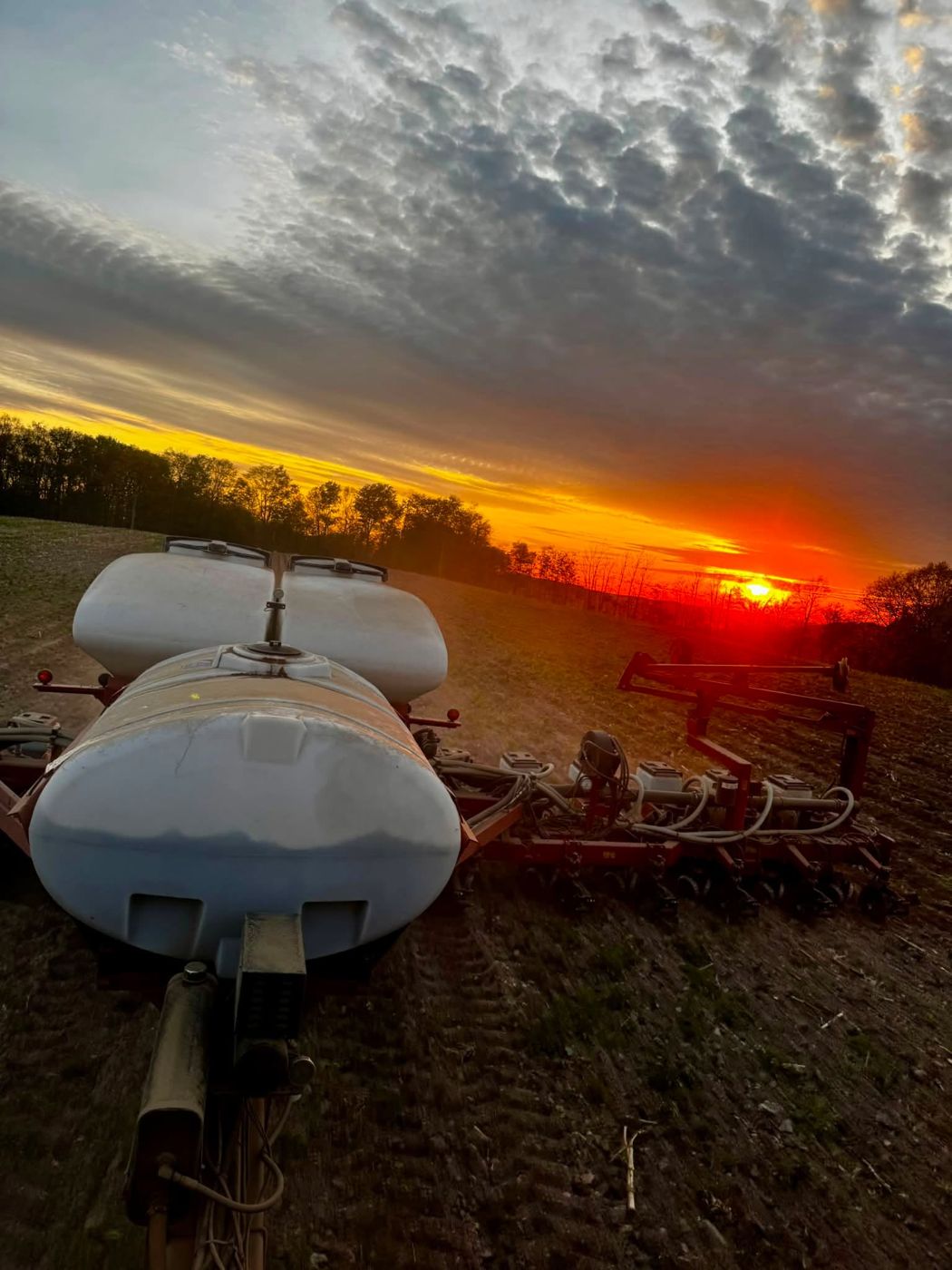 Sunset behind the planter